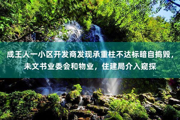 成王人一小区开发商发现承重柱不达标暗自捣毁，未文书业委会和物业，住建局介入窥探